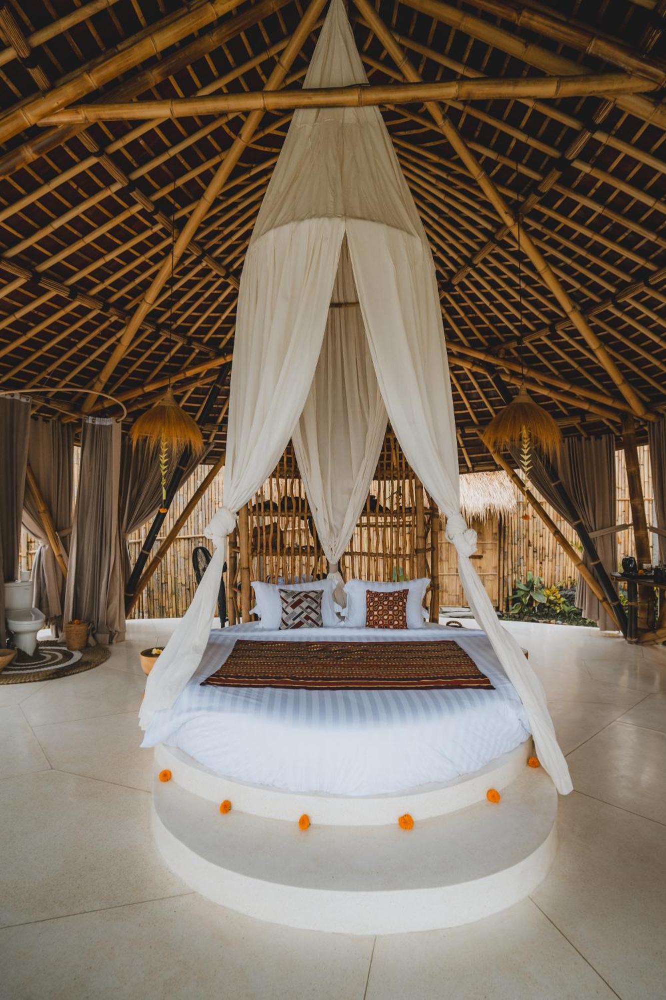 Nivriti Bali *
